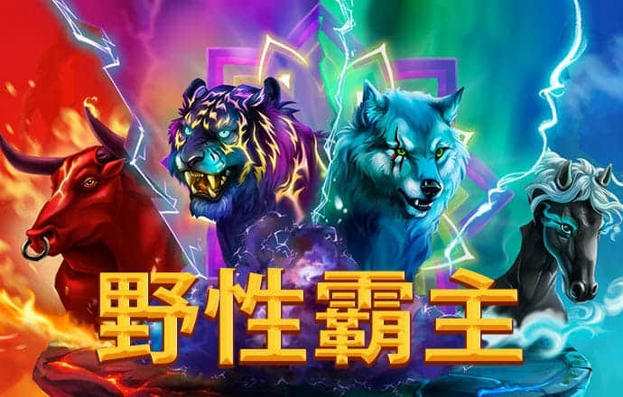 波胆网址多少